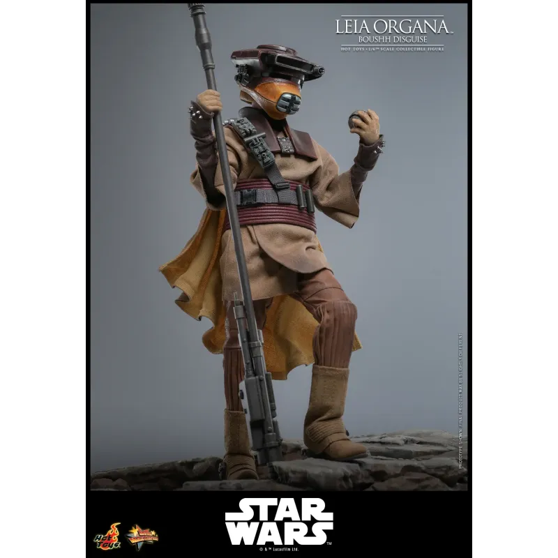 Star Wars Leia Organa (Boushh Disguise) Hot Toys