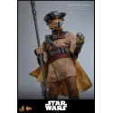 Star Wars Leia Organa (Boushh Disguise) Hot Toys