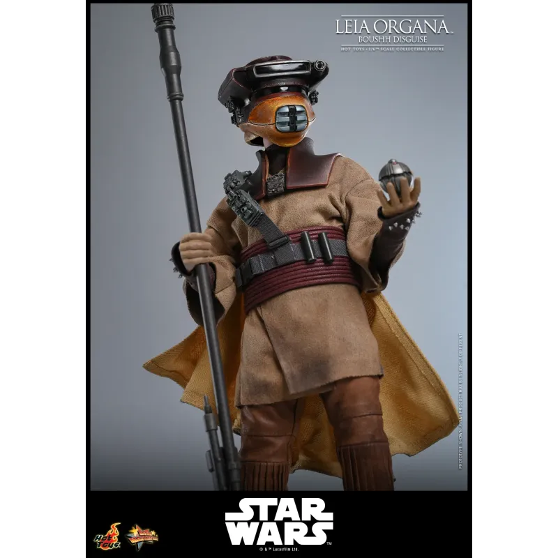 Star Wars Leia Organa (Boushh Disguise) Hot Toys