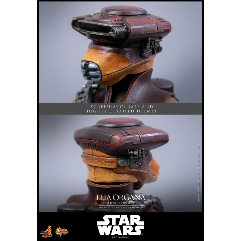 Star Wars Leia Organa (Boushh Disguise) Hot Toys