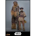 Star Wars Leia Organa (Boushh Disguise) Hot Toys