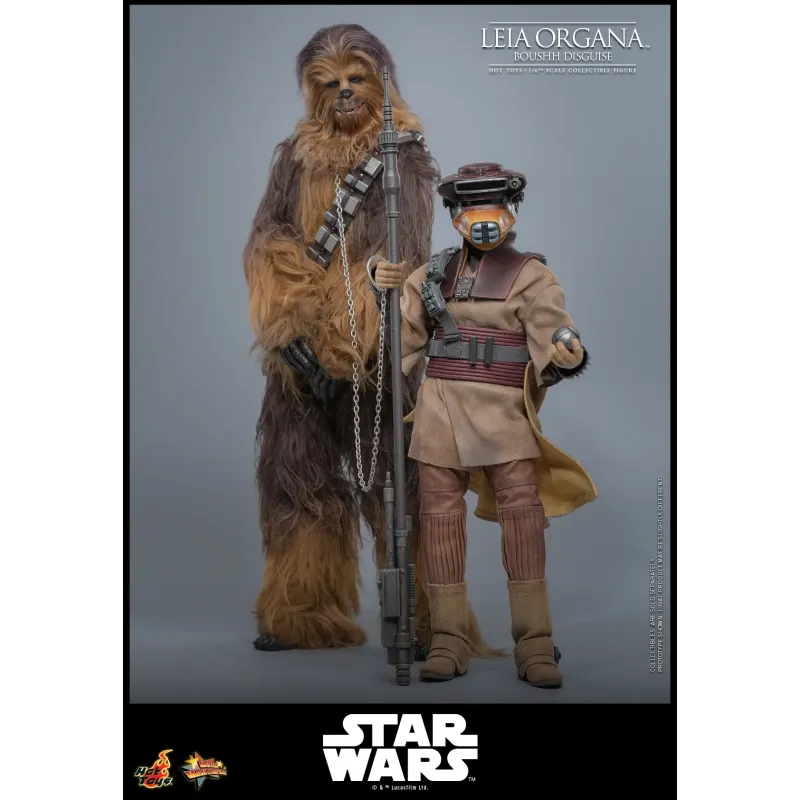 Star Wars Leia Organa (Boushh Disguise) Hot Toys