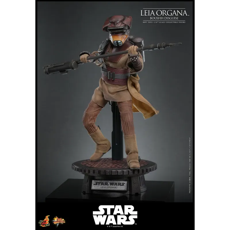 Star Wars Leia Organa (Boushh Disguise) Hot Toys