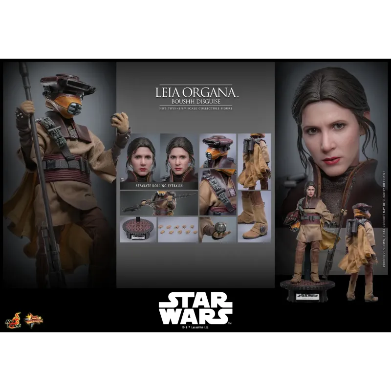 Star Wars Leia Organa (Boushh Disguise) Hot Toys