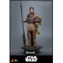 Star Wars Leia Organa (Boushh Disguise) Hot Toys