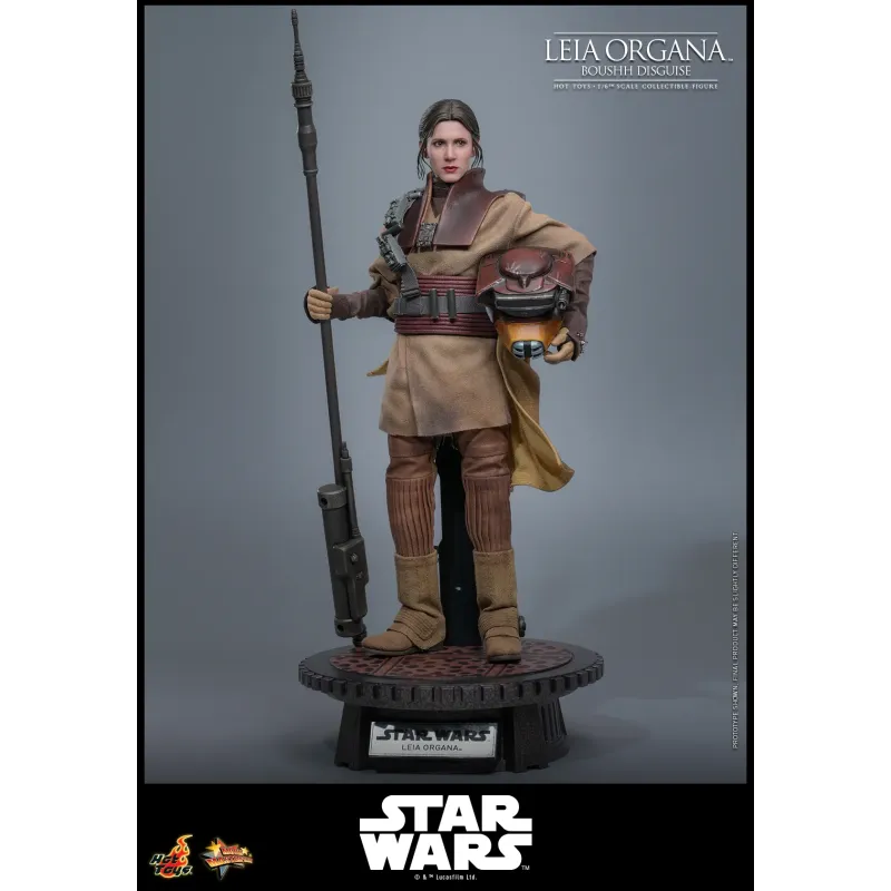 Star Wars Leia Organa (Boushh Disguise) Hot Toys