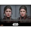 Star Wars Leia Organa (Boushh Disguise) Hot Toys