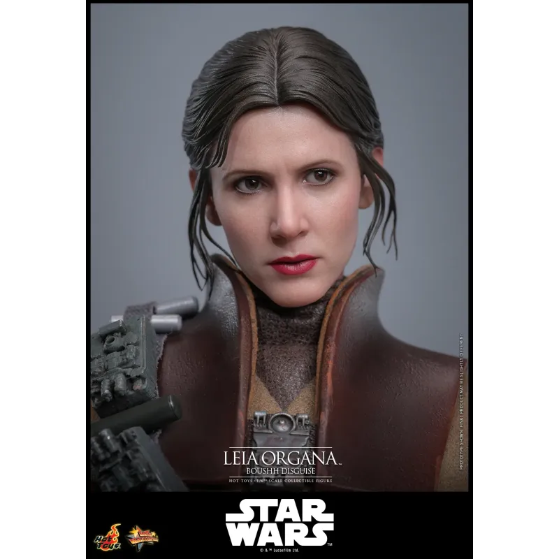 Star Wars Leia Organa (Boushh Disguise) Hot Toys