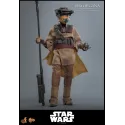 Star Wars Leia Organa (Boushh Disguise) Hot Toys