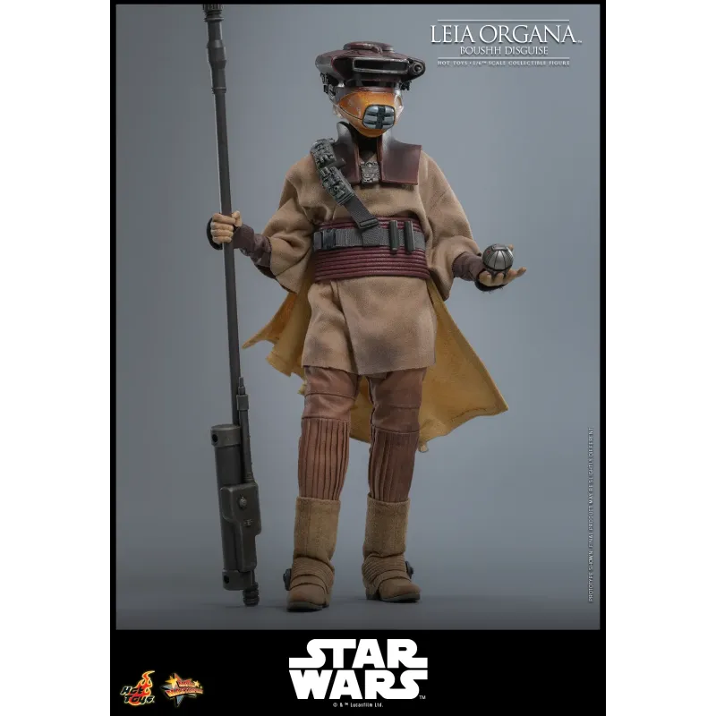 Star Wars Leia Organa (Boushh Disguise) Hot Toys
