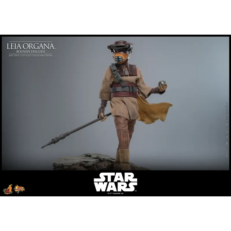 Star Wars Leia Organa (Boushh Disguise) Hot Toys