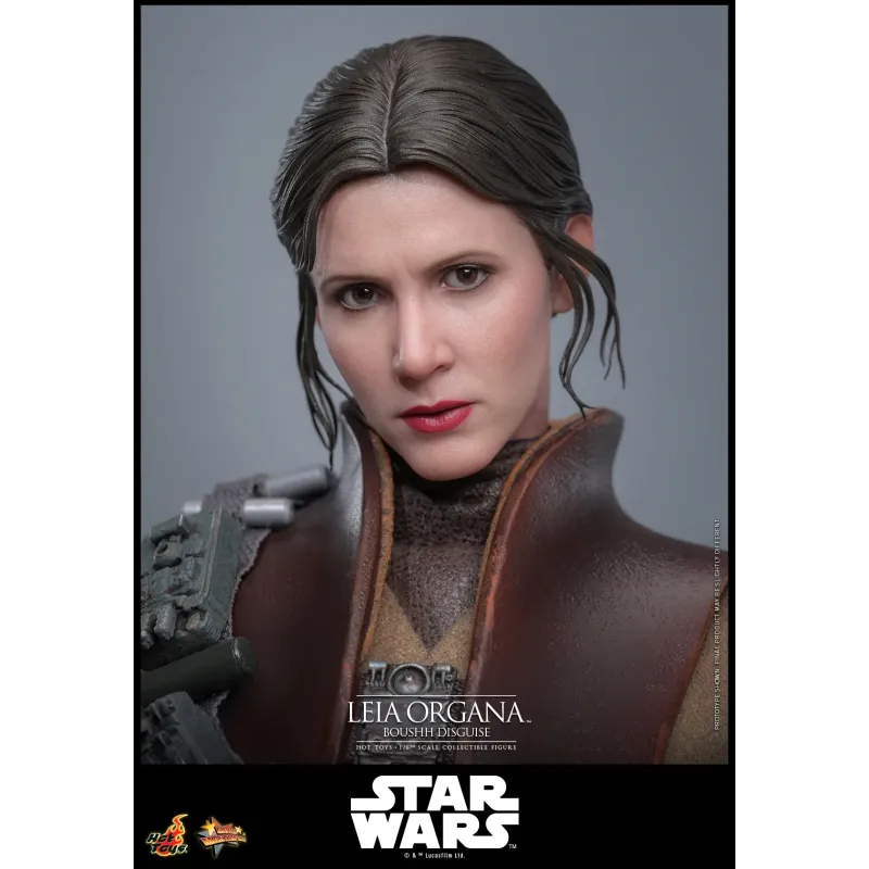 Star Wars Leia Organa (Boushh Disguise) Hot Toys