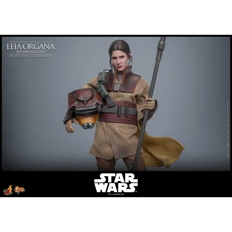 Star Wars Leia Organa (Boushh Disguise) Hot Toys