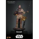 Star Wars Leia Organa (Boushh Disguise) Hot Toys