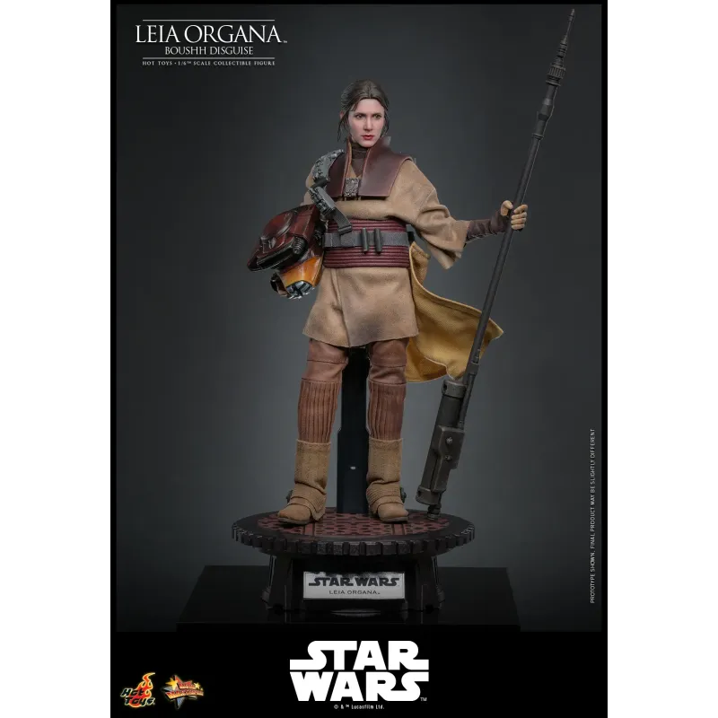 Star Wars Leia Organa (Boushh Disguise) Hot Toys