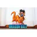 Dragon Ball Goku & Shenron Tenka Studio