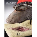 Star Wars The Khetanna Jabba's Sail Barge The Force Laboratory