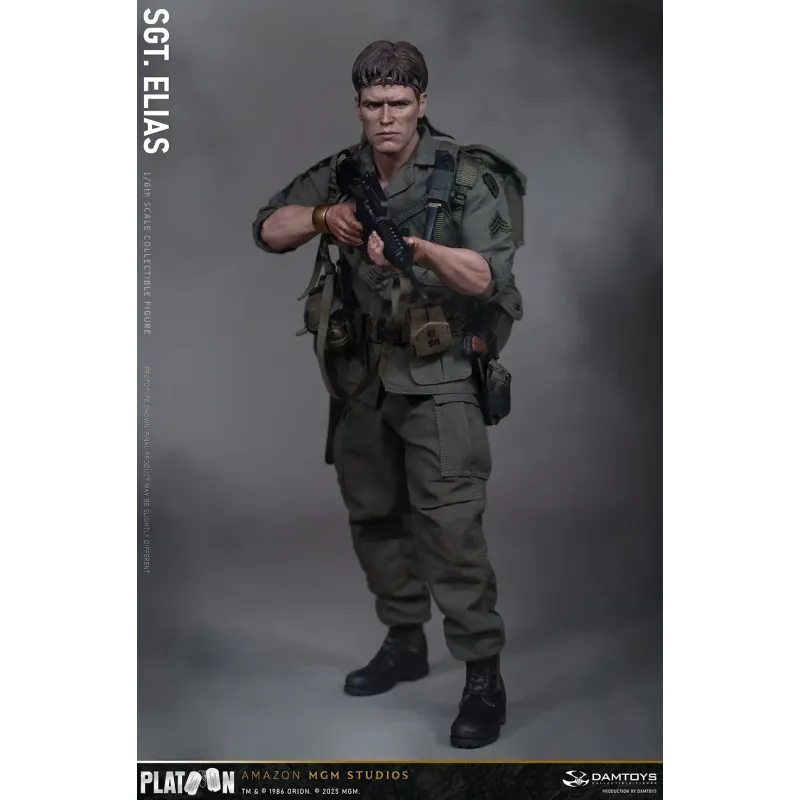 Platoon Sergeant Elias DAMTOYS