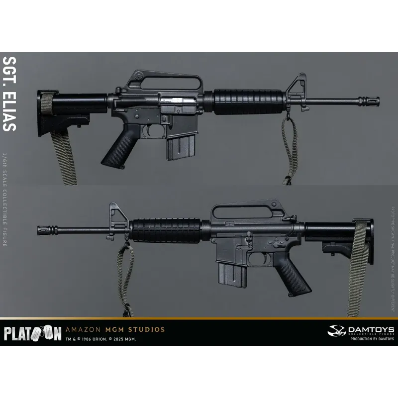 Platoon Sergeant Elias DAMTOYS