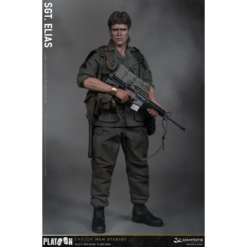 Platoon Sergeant Elias DAMTOYS