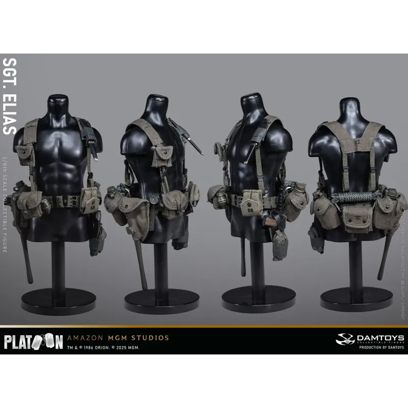 Platoon Sergeant Elias DAMTOYS