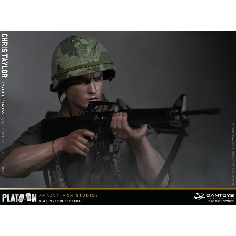 Platoon Chris Taylor DAMTOYS