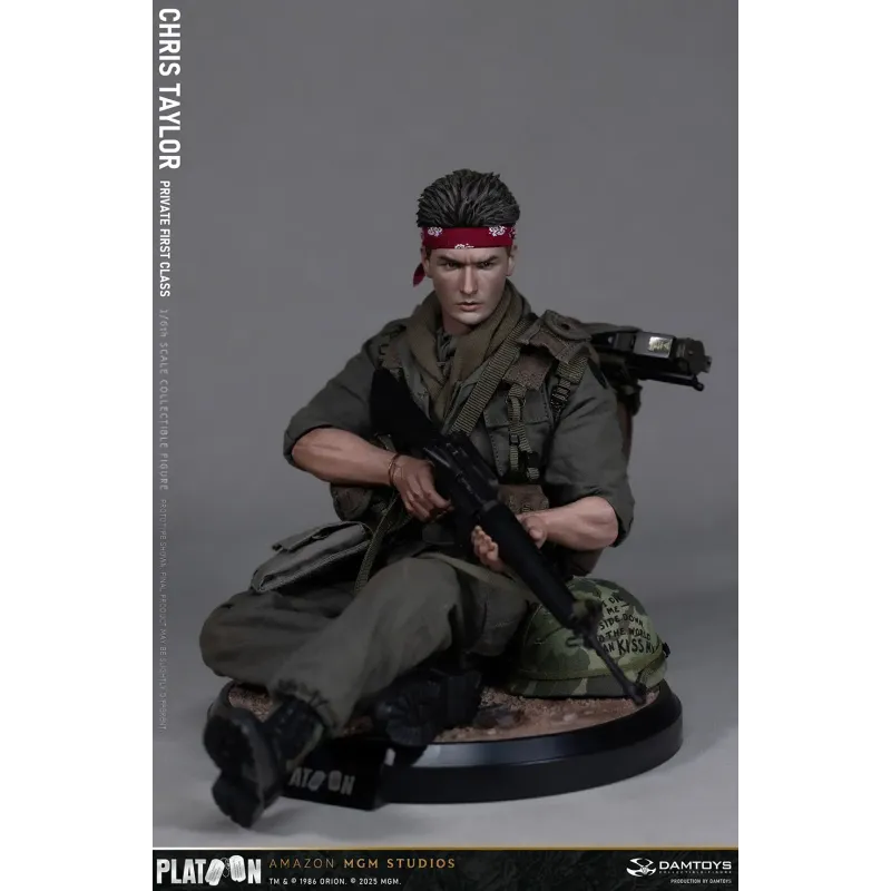 Platoon Chris Taylor DAMTOYS