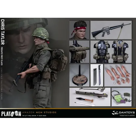 Platoon Chris Taylor DAMTOYS