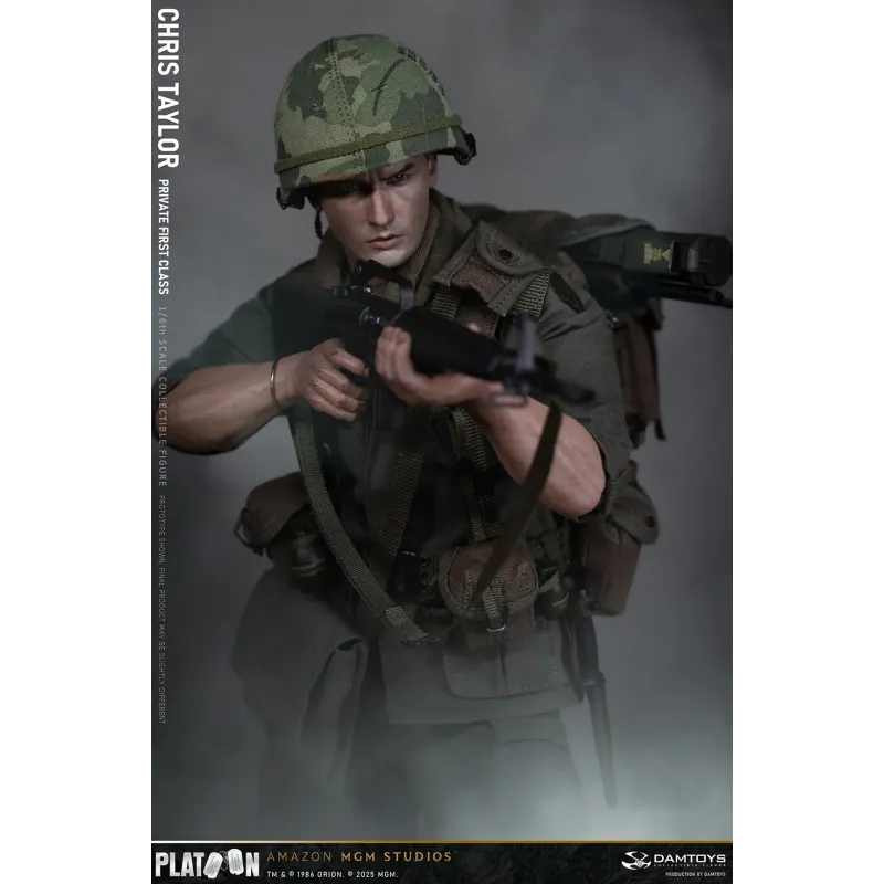 Platoon Chris Taylor DAMTOYS