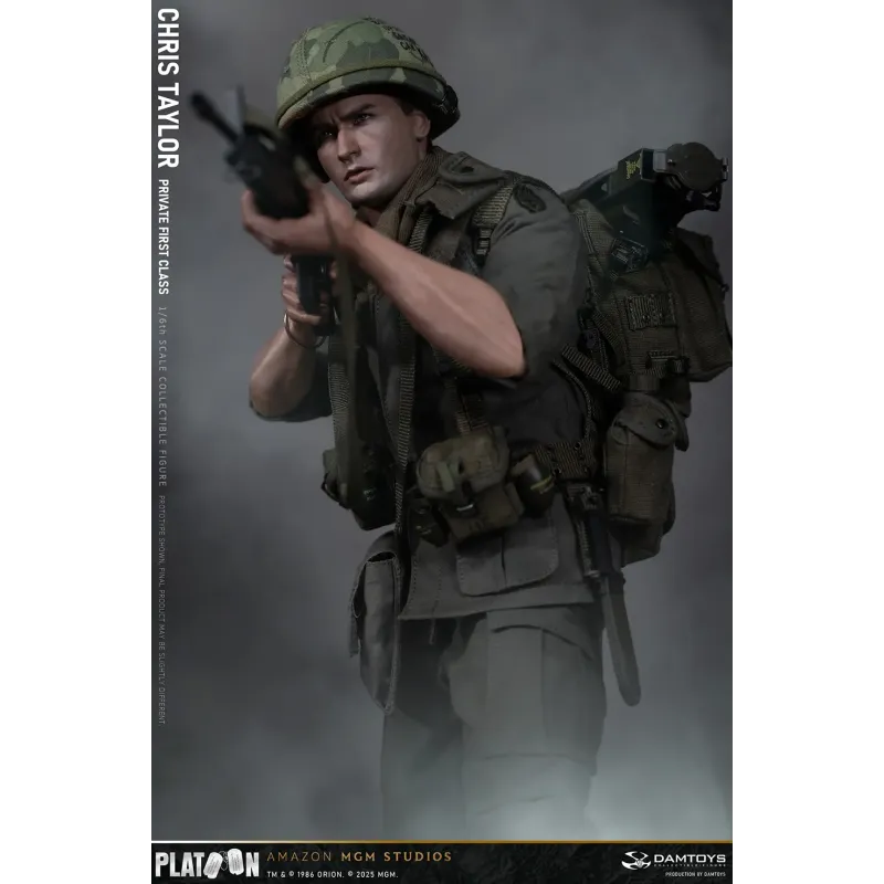 Platoon Chris Taylor DAMTOYS