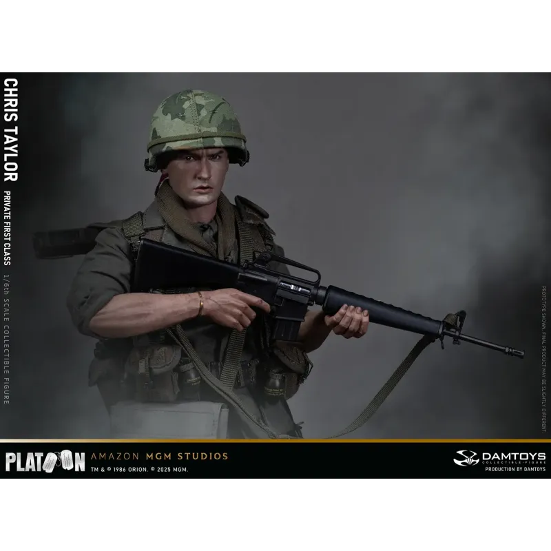Platoon Chris Taylor DAMTOYS