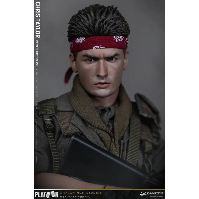 Platoon Chris Taylor DAMTOYS
