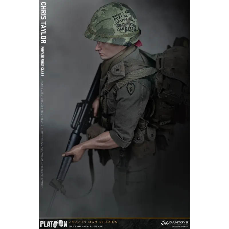 Platoon Chris Taylor DAMTOYS