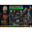 Predator Prey Feral Predator (Battle Damaged Version) Hot Toys