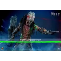 Predator Prey Feral Predator (Battle Damaged Version) Hot Toys