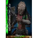 Predator Prey Feral Predator (Battle Damaged Version) Hot Toys