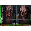 Predator Prey Feral Predator (Battle Damaged Version) Hot Toys