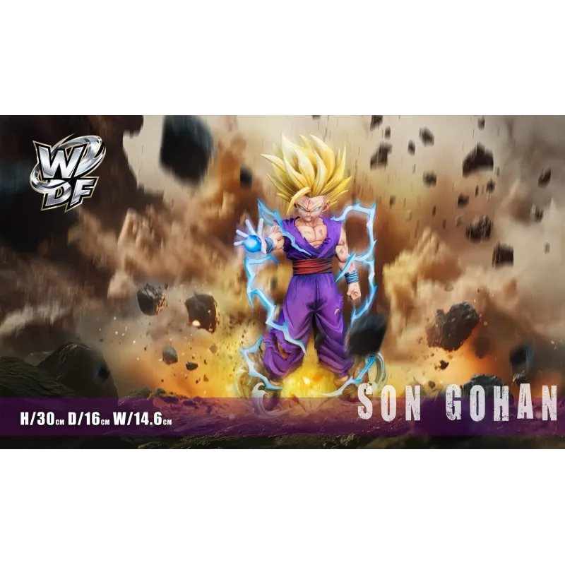 Dragon Ball Z Gohan SSJ2 WDF Studio