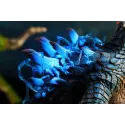 Monster Hunter Lagiacrus Dragon Frontier Studio