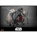 Star Wars MagnaGuard Hot Toys