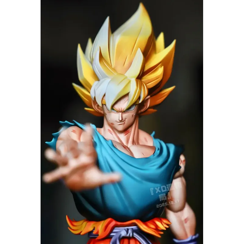 Dragon Ball Z Goku SSJ XD Studio