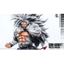 Dragon Ball GT Goku SSJ4 & SSJ5 Kuang Feng Studio