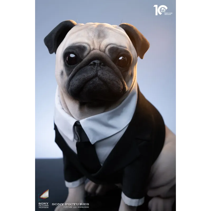 Men in Black Frank Infinity Studio