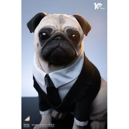 Men in Black Frank Infinity Studio