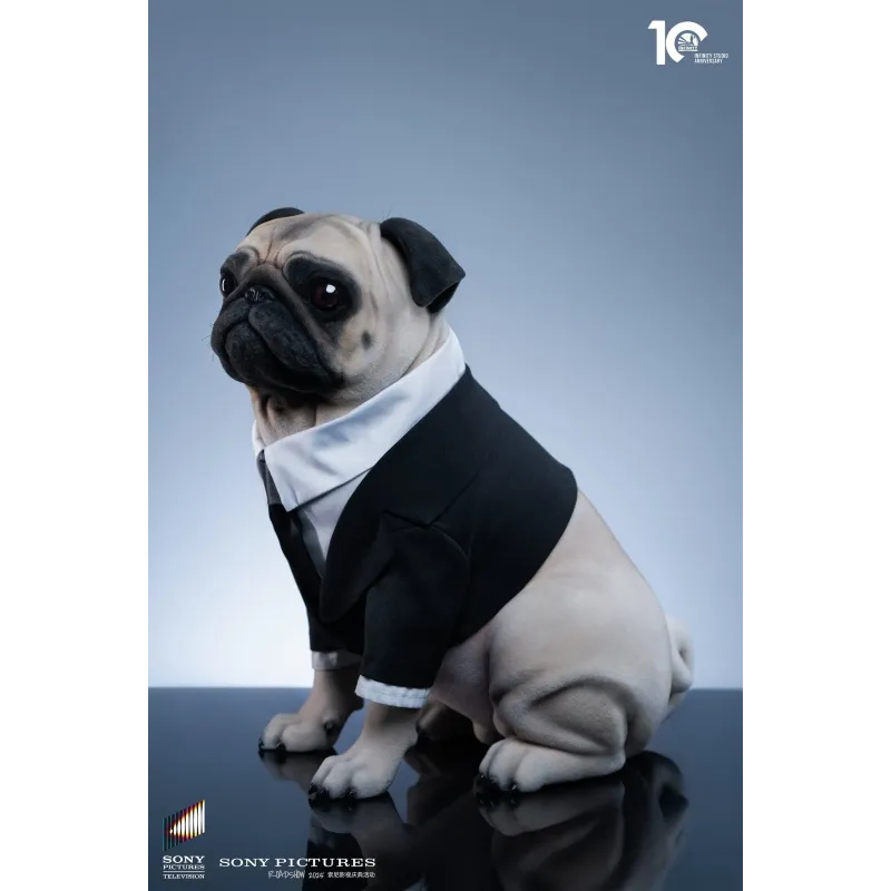 Men in Black Frank Infinity Studio