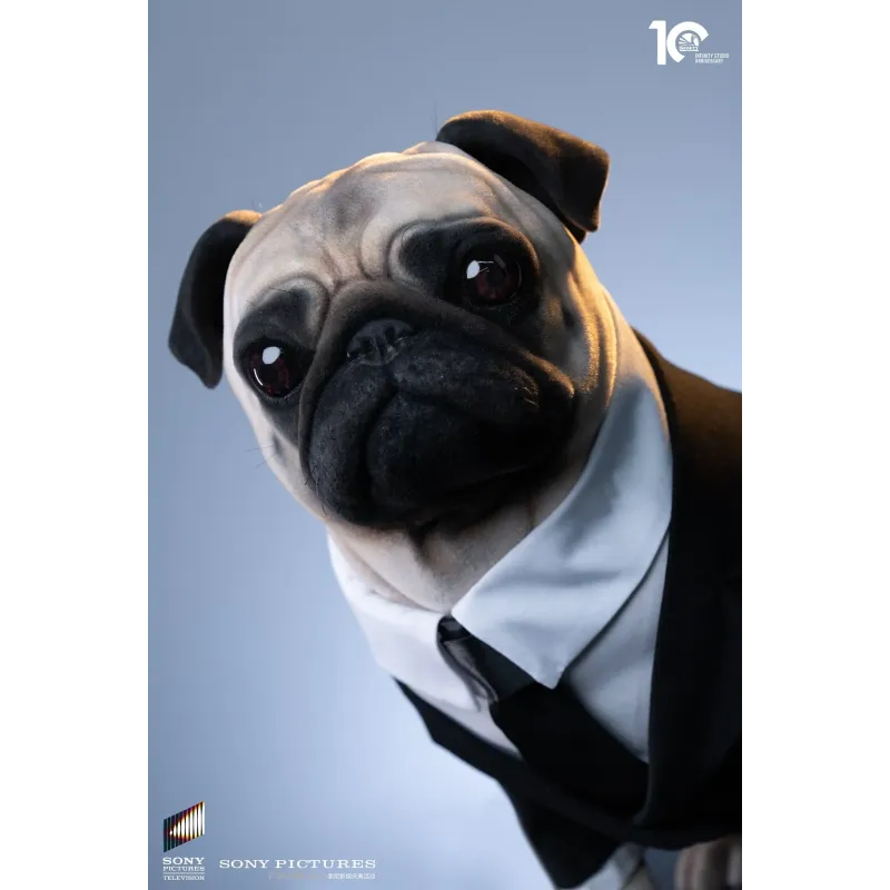 Men in Black Frank Infinity Studio