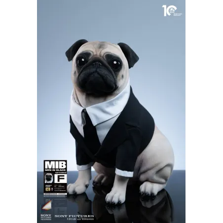 Men in Black Frank Infinity Studio