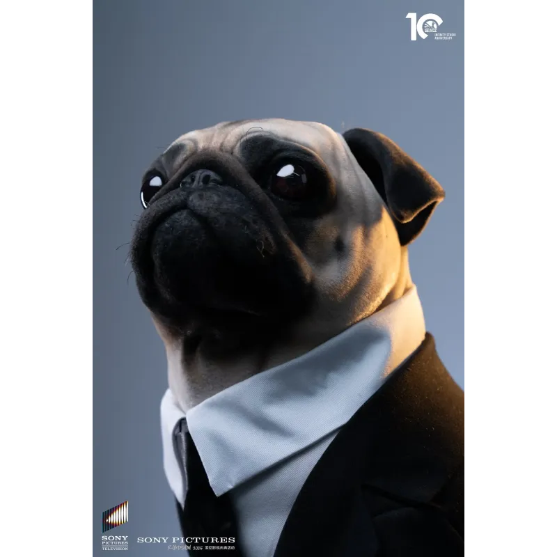 Men in Black Frank Infinity Studio