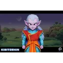 Dragon Ball Z KibitoShin WCF C Studio