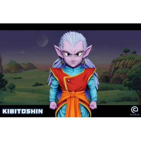 Dragon Ball Z KibitoShin WCF C Studio